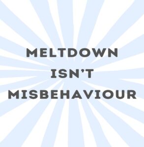 A Meltdown Isn’t Misbehaviour